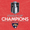 NHL 2024 Stanley Cup Champions Panthers Surface Pro 8 Skin